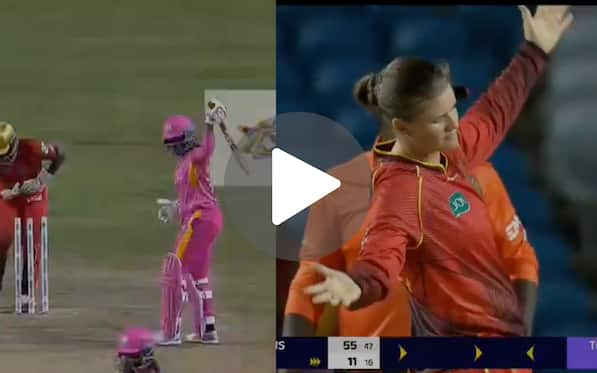 [Watch] Australia All-Rounder Brings Out Shahrukh Khan's Iconic 'DDLJ' Pose In WCPL 2024